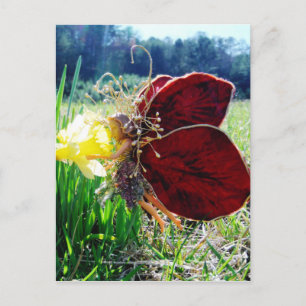 Fairy in the Daffodils Postcard