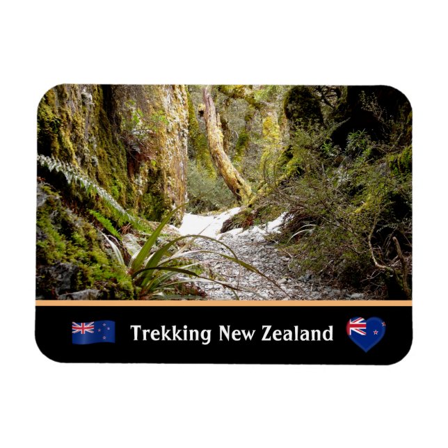 Fairy Jungle, Kiwi trekking /New Zealand Magnet (Horizontal)