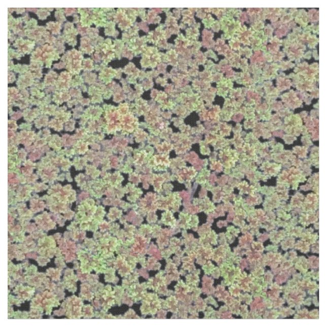 Fairy Moss - V2 Fabric (Close Up)