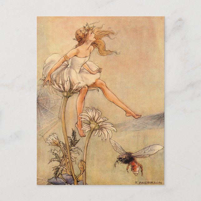 Fairy on a Daisy Postcard (Front)