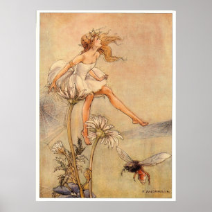 Fairy on a Daisy - Print