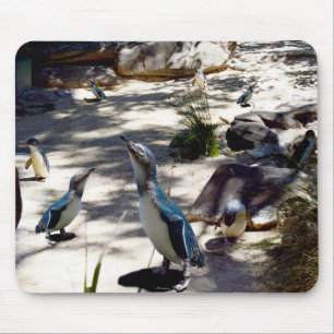 Fairy Penguin Paradise, Mouse Mat