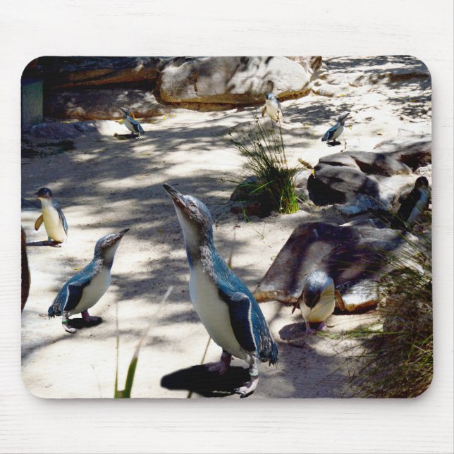 Fairy Penguin Paradise, Mouse Mat (Front)