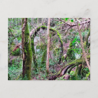 Fairy Portal - Rio de Janeiro - Conímbriga - PT Postcard