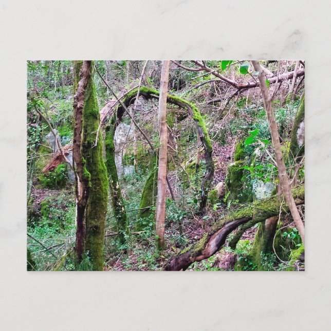 Fairy Portal - Rio de Janeiro - Conímbriga - PT Postcard (Front)