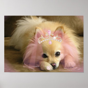 fairy princess dog with diamond crown poster