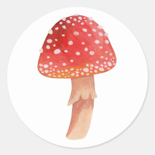 Fairy red mushroom. Woodland fly agaric. Amanita  Classic Round Sticker