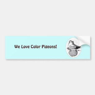 Fairy Swallow 1978 Bumper Sticker