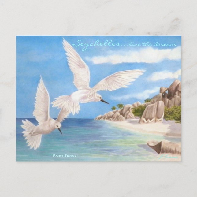Fairy Terns Postcard (Front)