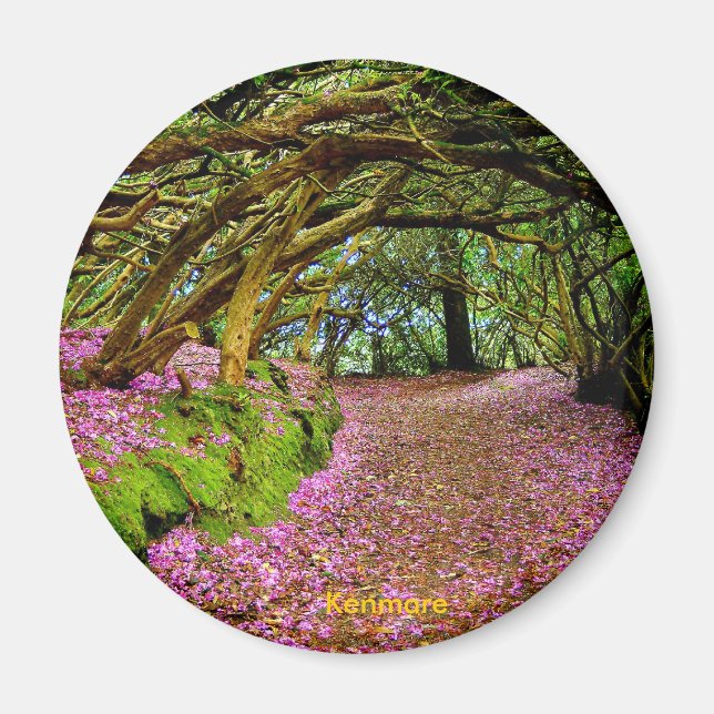 Fairy Tunnel, Kenmare Magnet (Front)