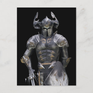 Fairy warrior postcard