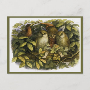 "Fairy with Owls" by Doyle Postcard