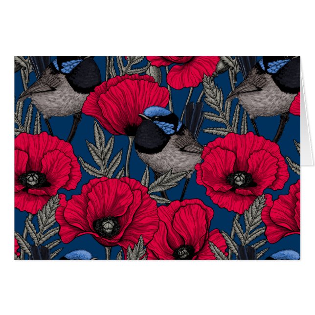 Fairy wren and poppies (Front Horizontal)