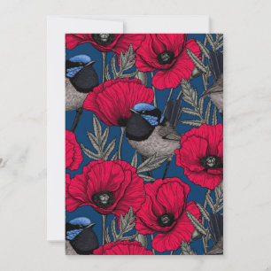 Fairy wren and poppies