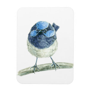 Fairy wren magnet
