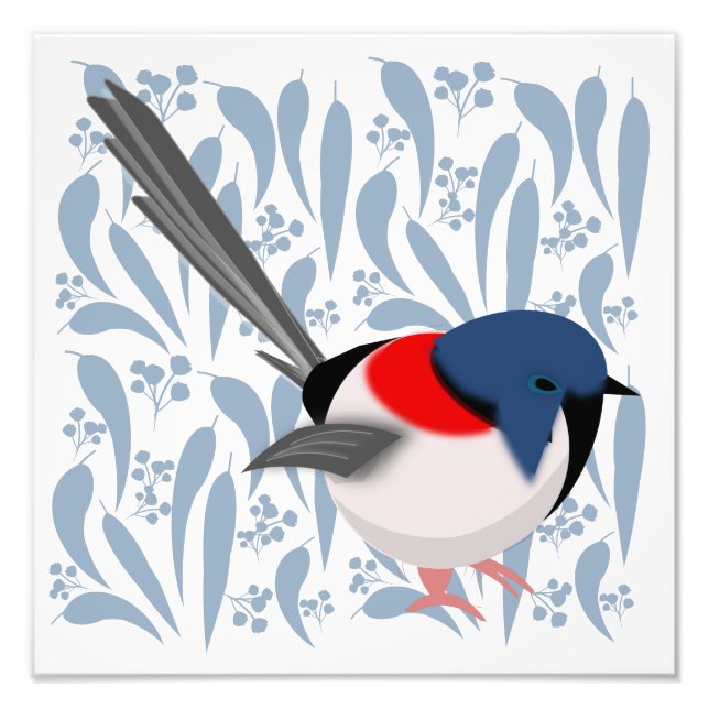 Fairy Wren Photo Print (Front)