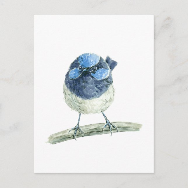 Fairy wren postcard (Front)