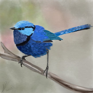 Fairy Wren tote bag 