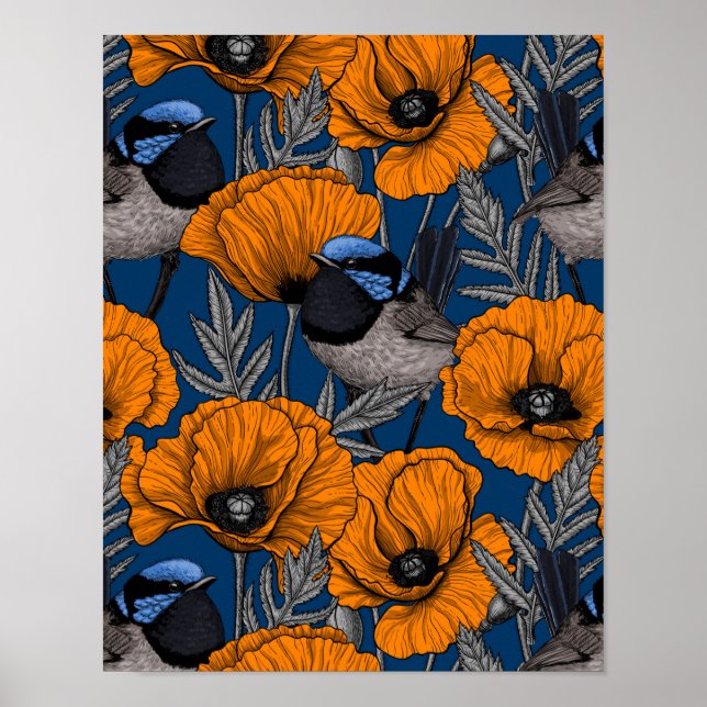 Fairy wrens and orange poppy flowers poster (Front)