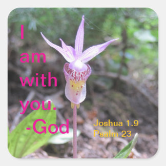 Fairyslipper Orchid Flower Square Sticker