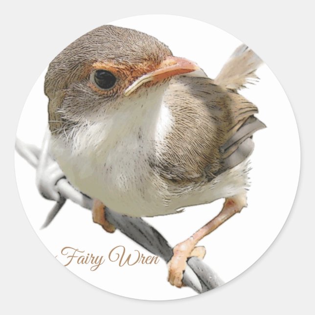"Fairywren" Classic Round Sticker (Front)