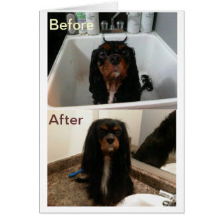 FAITH BEFORE AND AFTER