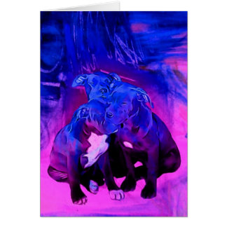 Faith Hope & Charity, Abused Pit Bull Dogs