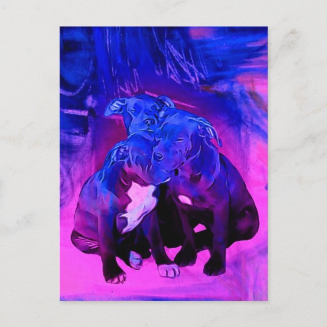 Faith Hope & Charity, Abused Pit Bull Dogs Postcard (Front)