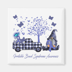 Faith Hope Love Irritable Bowel Syndrome Awareness Magnet