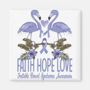 Faith Hope Love Irritable Bowel Syndrome Awareness Magnet