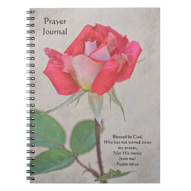 Faith Pretty Pink Rose Prayer Journal Notebook (Front)