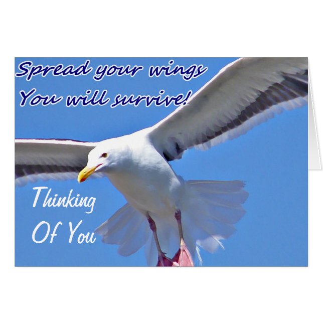 Faith & Strength_ (Front Horizontal)