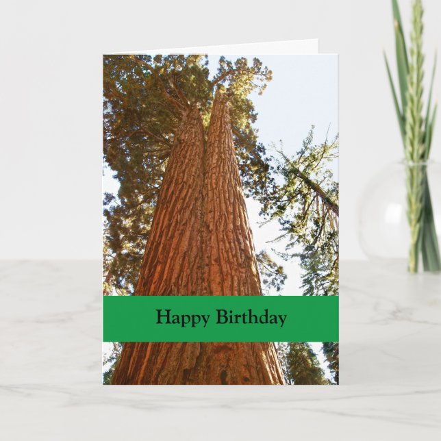 Faithful Couple Sequoia Trees, Happy Birthday Card (Front)