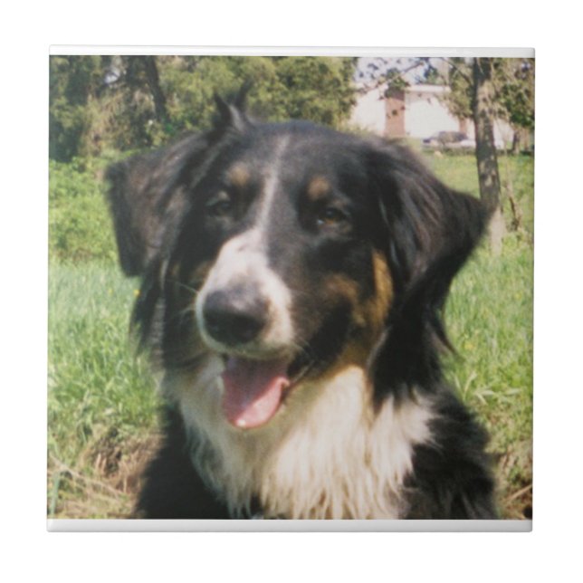 Faithful Finnegan Tile (Front)