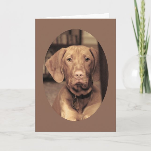 Faithful Friend Card (Front)