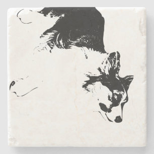 Faithful Gaze in Fall Shadows Stone Coaster