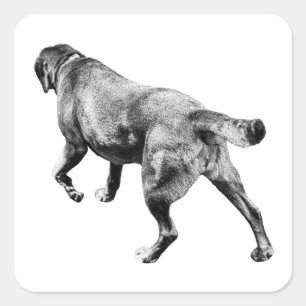 Faithful Walk in Fall Square Sticker
