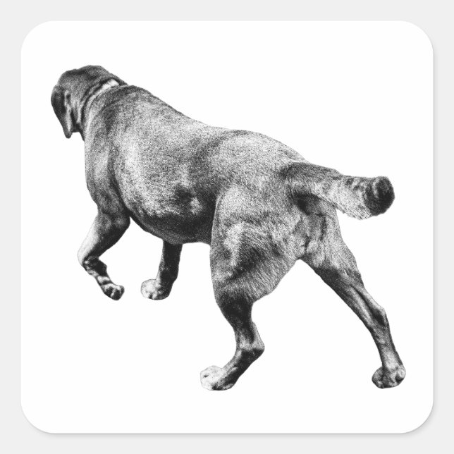 Faithful Walk in Fall Square Sticker (Front)