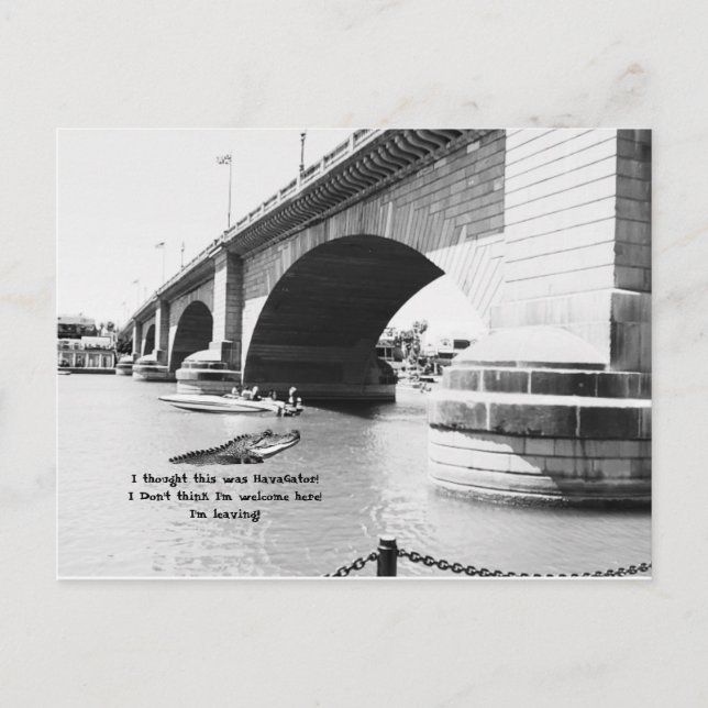 (Fake) Alligator swimming by the London Bridge Postcard (Front)