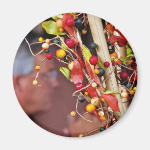 Fake Berries Magnet