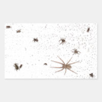 Fake Bugs On Screen Or Window Prank