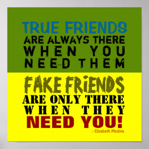 FAKE vs TRUE ~ 12x12 Poster