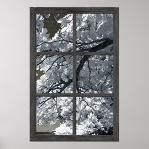 Fake Window Illusion White Flower Blossoms Poster
