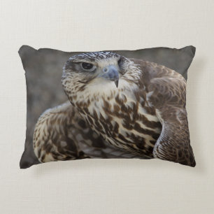 Falco cherrug decorative cushion