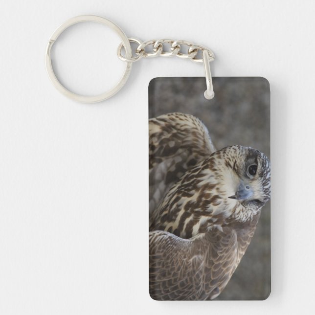 Falco cherrug key ring (Front)