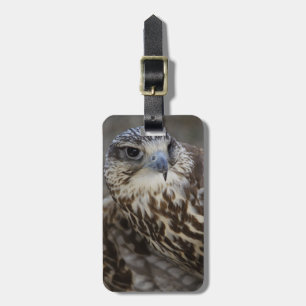 Falco cherrug luggage tag