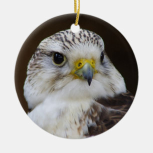 Falco cherrug Portrait Ceramic Tree Decoration