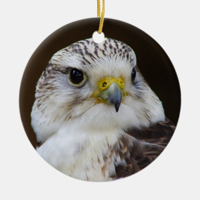 Falco cherrug Portrait Ceramic Tree Decoration (Front)