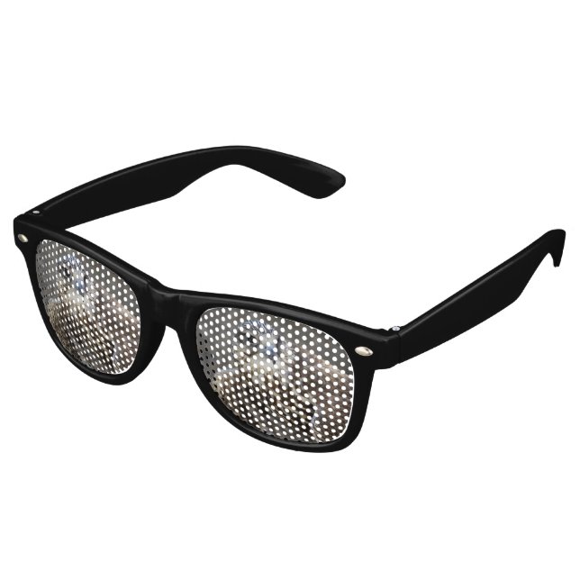Falco cherrug retro sunglasses (Angled)