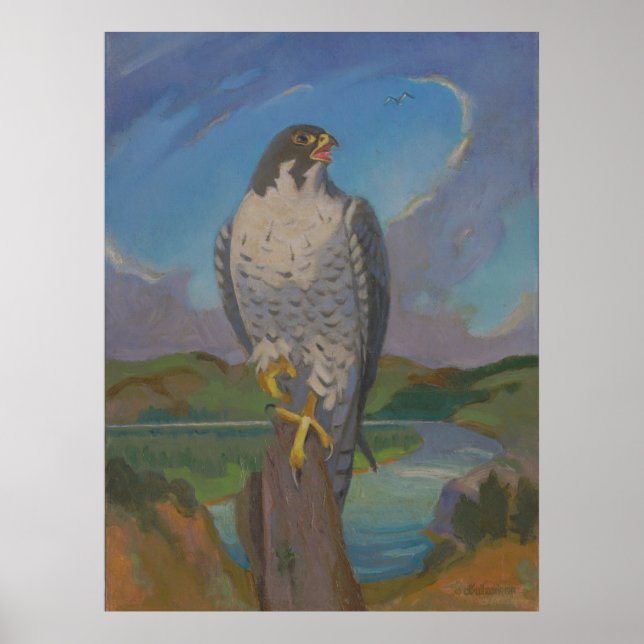 Falco Peregrinus – Peregrine Falcon by Kulhanek Poster (Front)